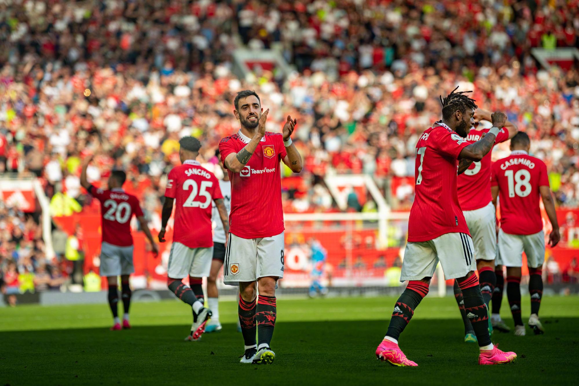 练倾向于采 练倾向于采